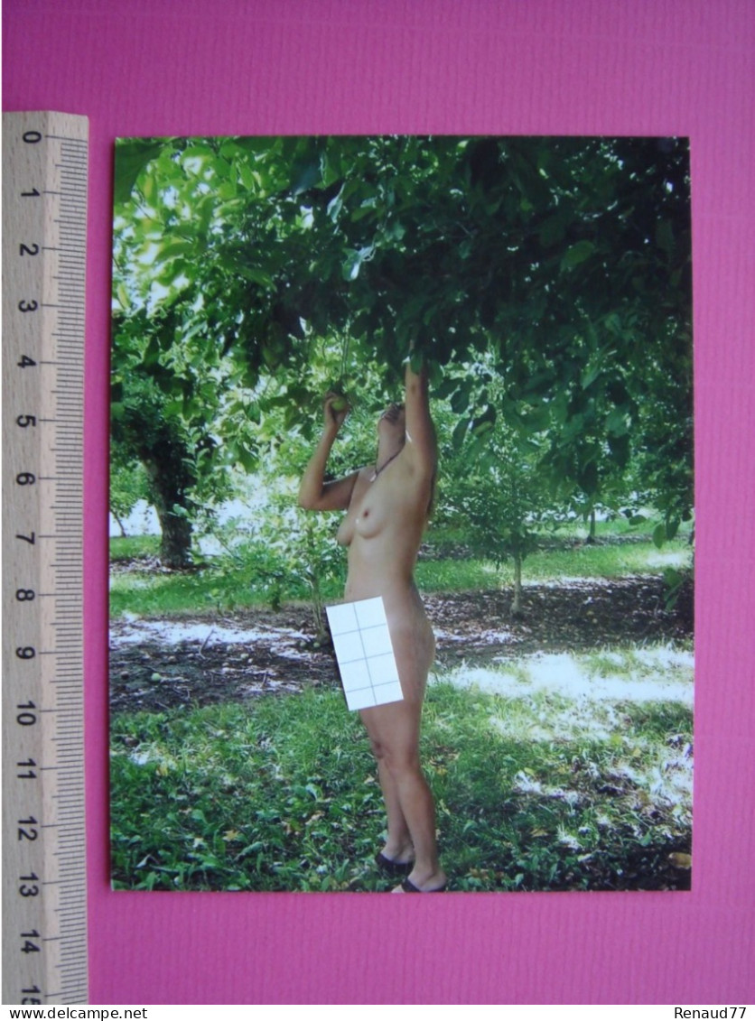 Photo - Nu Féminin - Erotique - Unclassified