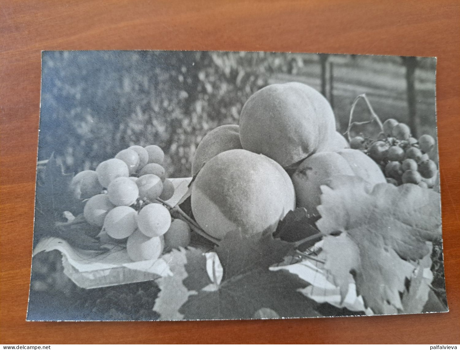 Historic Photo Hungary - Fruits - Gegenstände