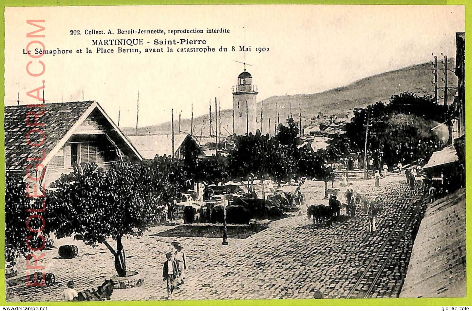 Ae9122 - MARTINIQUE -  VINTAGE  POSTCARD - Saint-Pierre - Autres & Non Classés