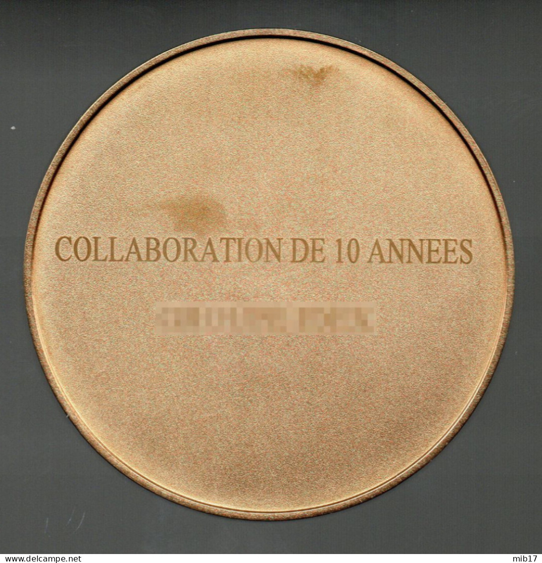 Médaille Du Travail En Bronze ARTHUS BERTRAND - Industrie Par Le Graveur J-P ROCH - Diamètre 57 Mm - Professionali / Di Società