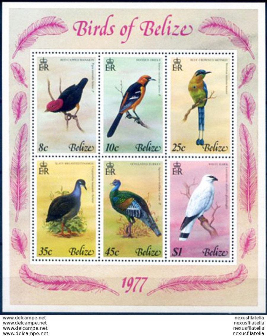 Fauna. Uccelli 1977. - Belice (1973-...)