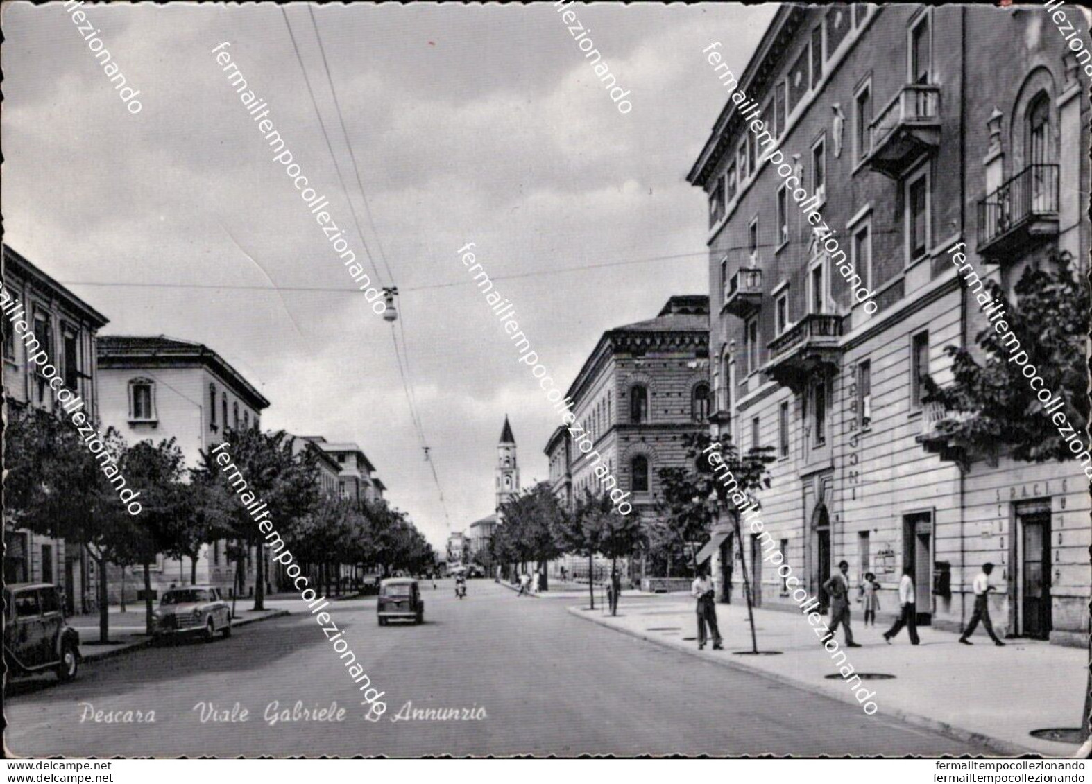 Cd630 Cartolina Pescara Citta' Viale Gabriele D'annunzio Abruzzo - Pescara