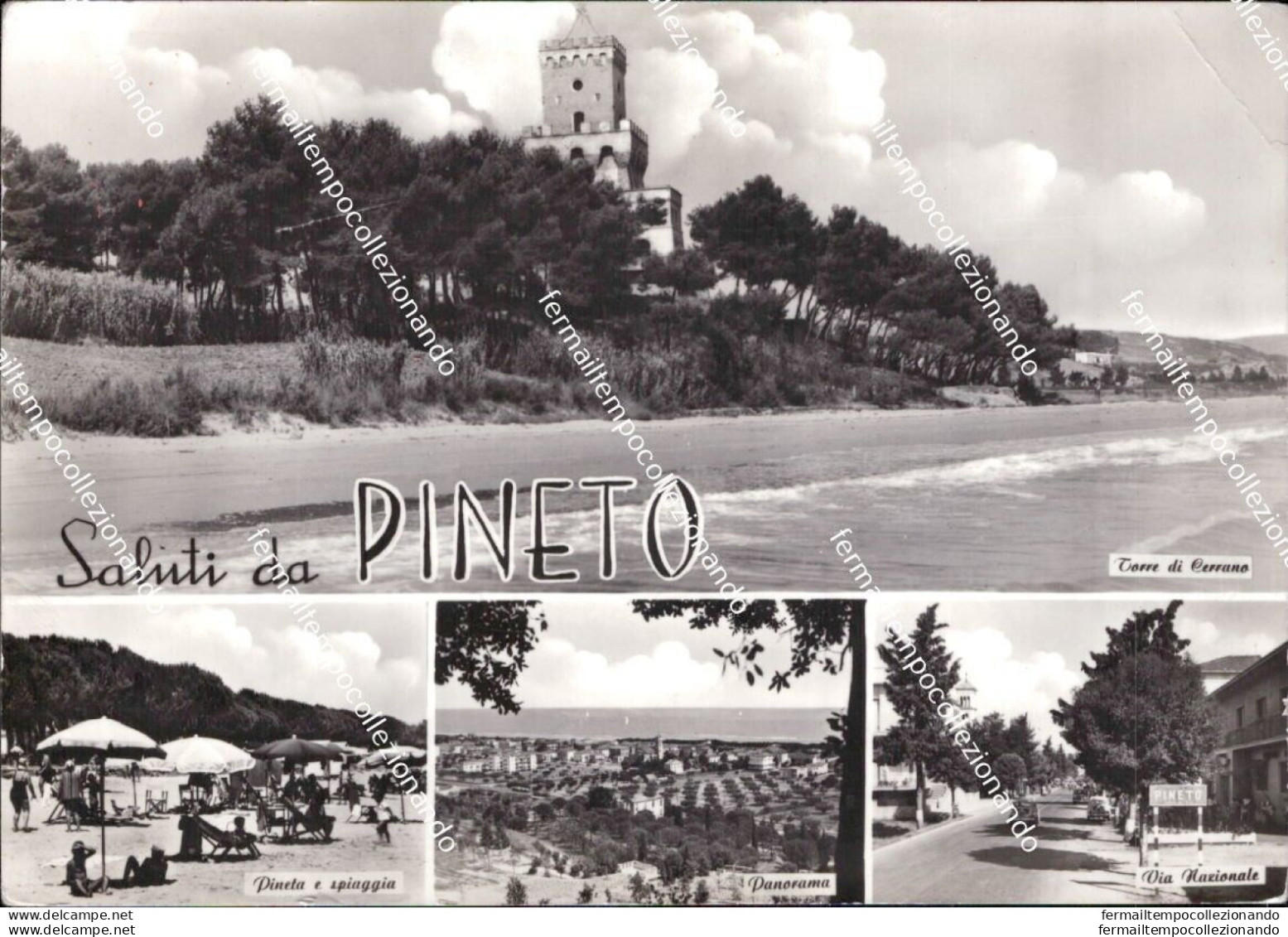 Cd642 Cartolina Saluti Da Pineto Provincia Di Teramo Abruzzo - Teramo