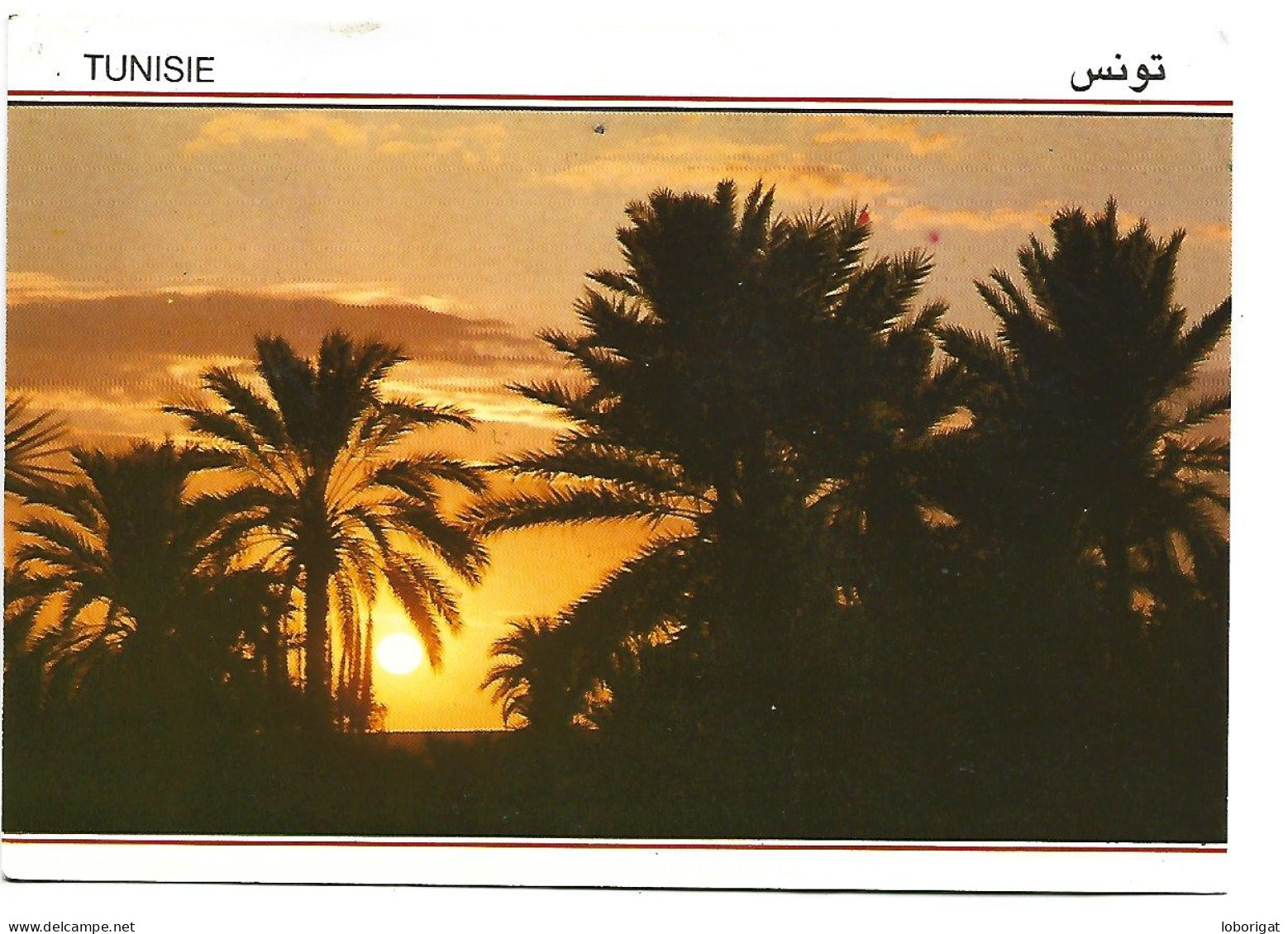 SUD TUNISIEN.- COUCHER DE SOLEIL SUR L'OASIS.- TUNEZ. - Tunesien