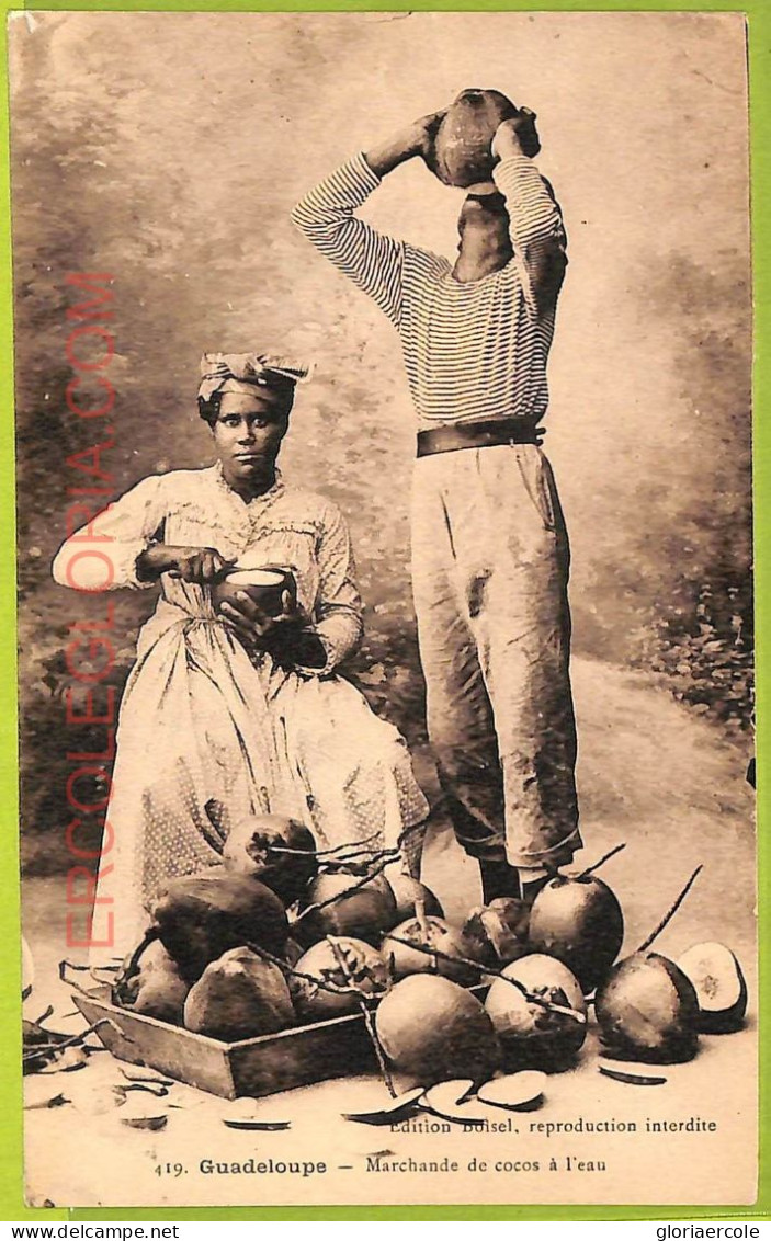 Ae9143 - GUADELOUPE -  VINTAGE  POSTCARD - Ethnic - Autres & Non Classés