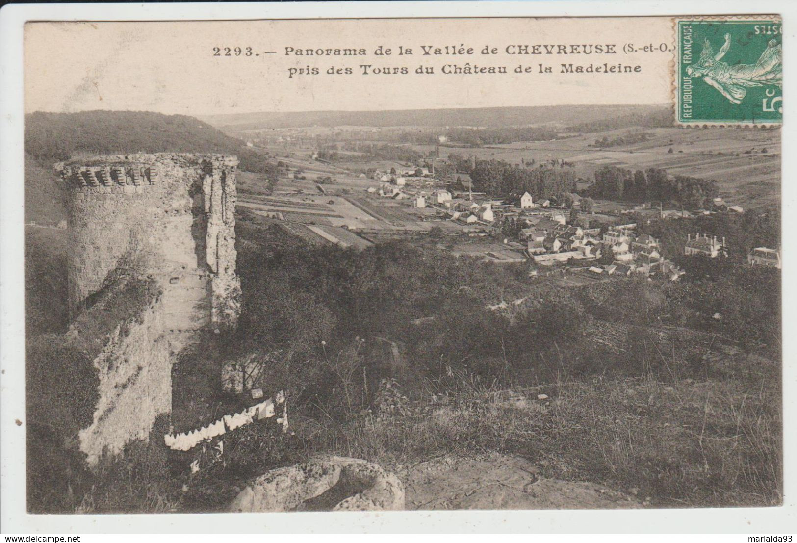 CHEVREUSE - YVELINES - PANORAMA DE LA VALLEE DE CHEVREUSE PRIS DES TOURS DU CHATEAU DE LA MADELEINE - Chevreuse