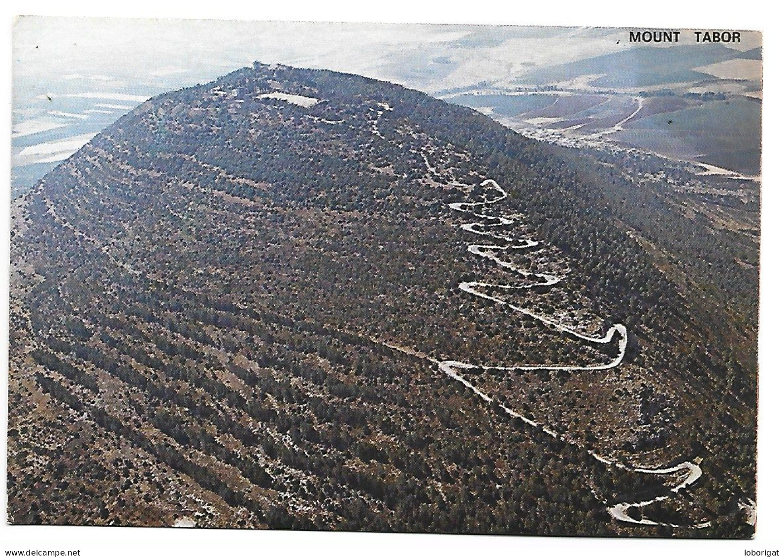 MOUNT TABOR / MONT TABOR.- GALILEA.- ( ISRAEL ) - Israël