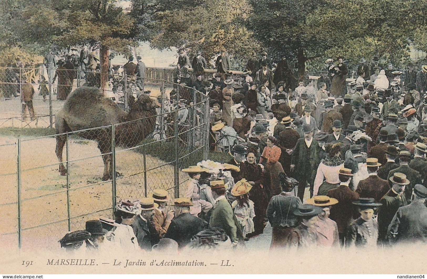 CPA - 13 - Marseille - Jardin D'Acclimatation - Parcs Et Jardins