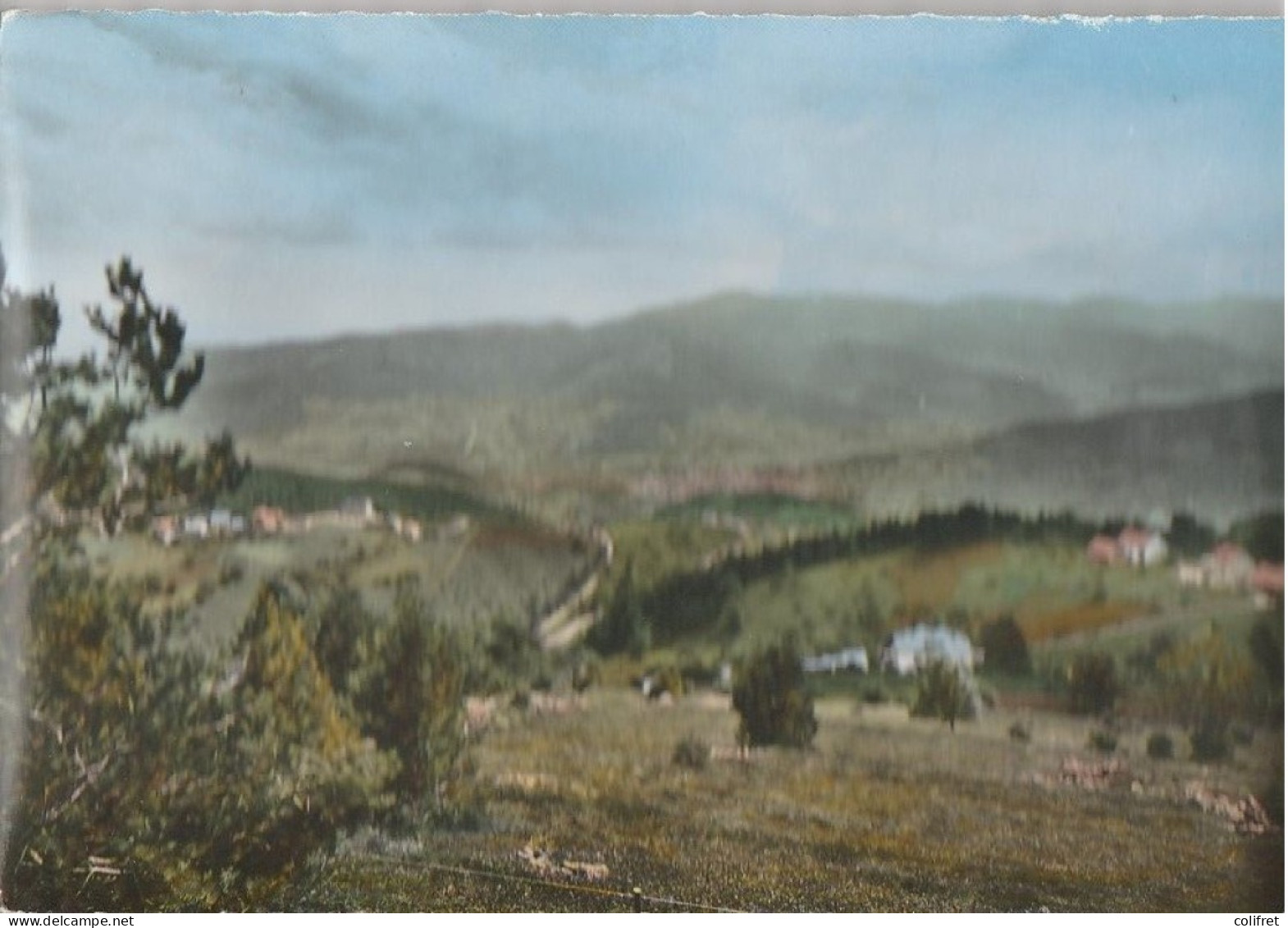 68 - Hohrodberg - Vue Panoramique Sur La Vallée De Munster  -  Vue Aérienne - Other & Unclassified
