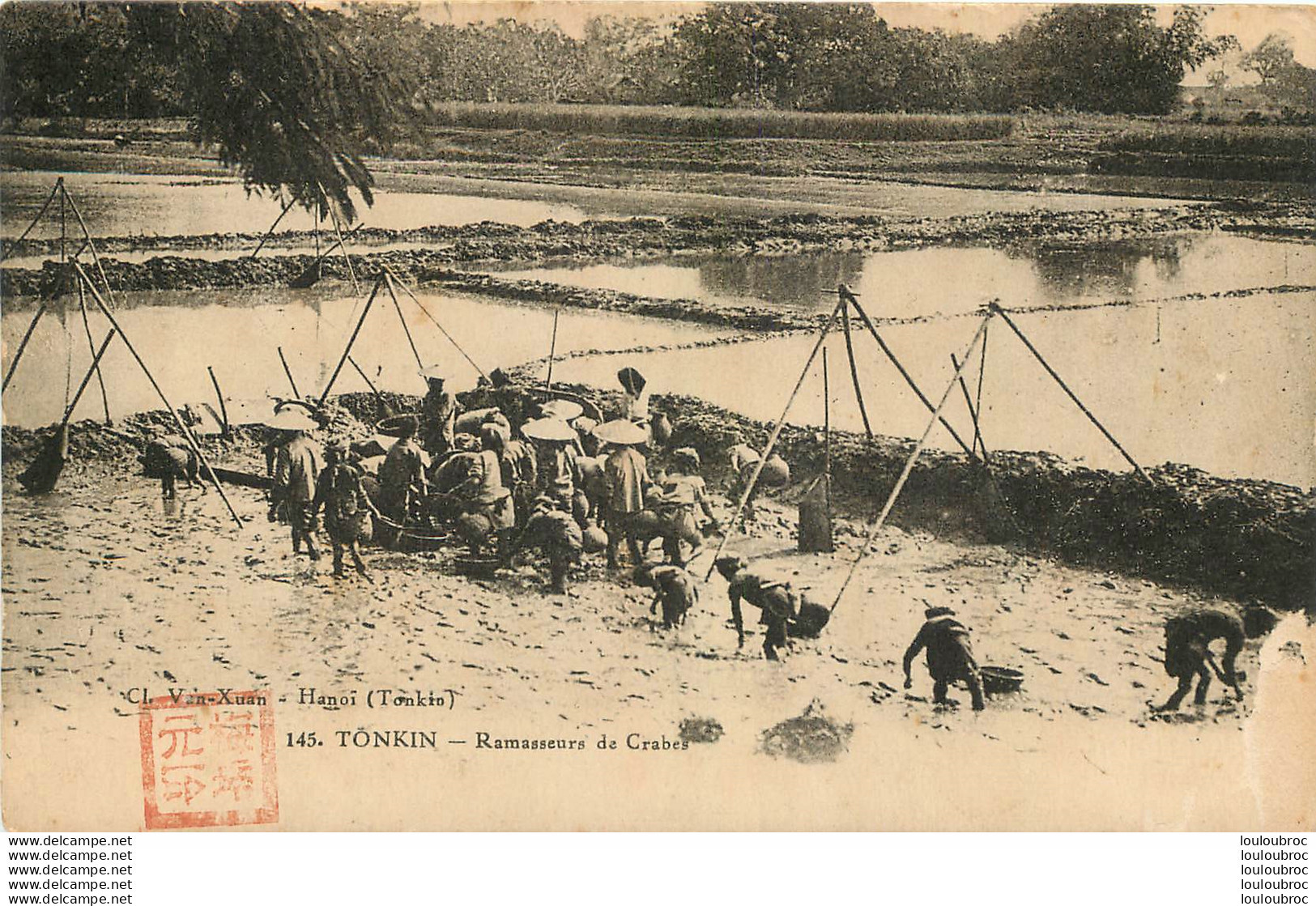 TONKIN RAMASSEURS DE CRABES - Vietnam