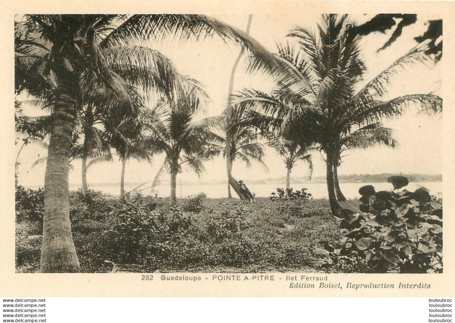 GUADELOUPE POINTE A PITRE FERRAUD - Pointe A Pitre