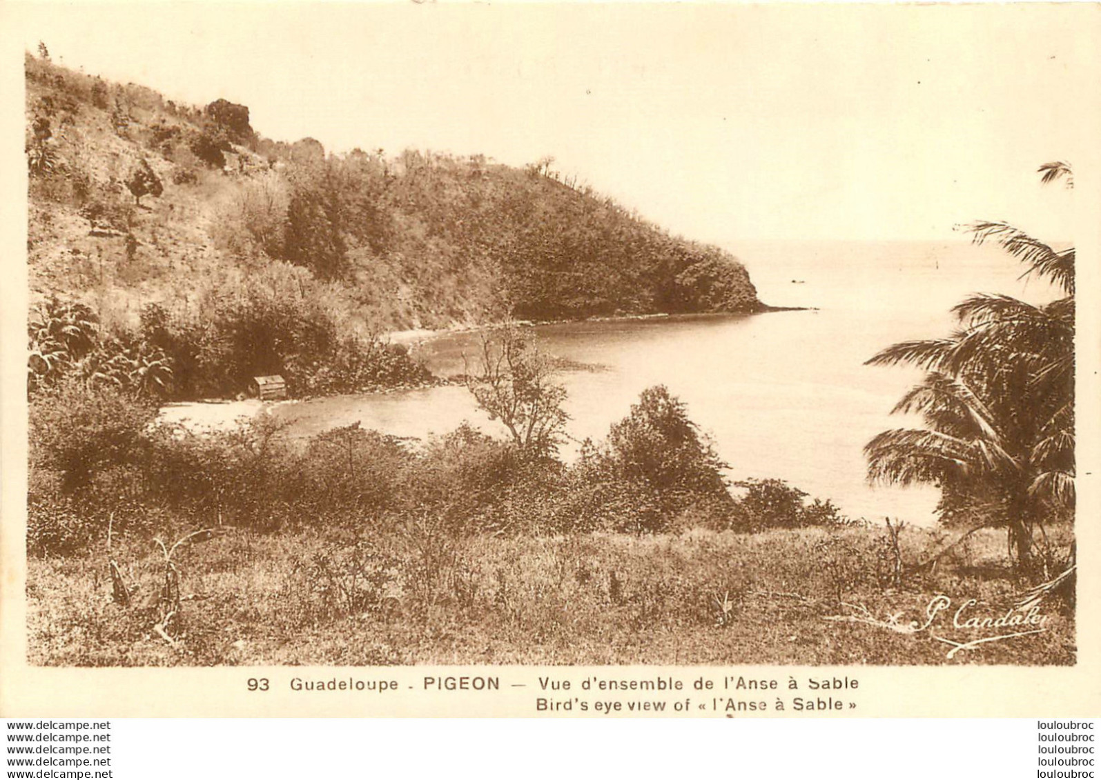 GUADELOUPE PIGEON VUE DE L'ANSE A SABLE - Autres & Non Classés