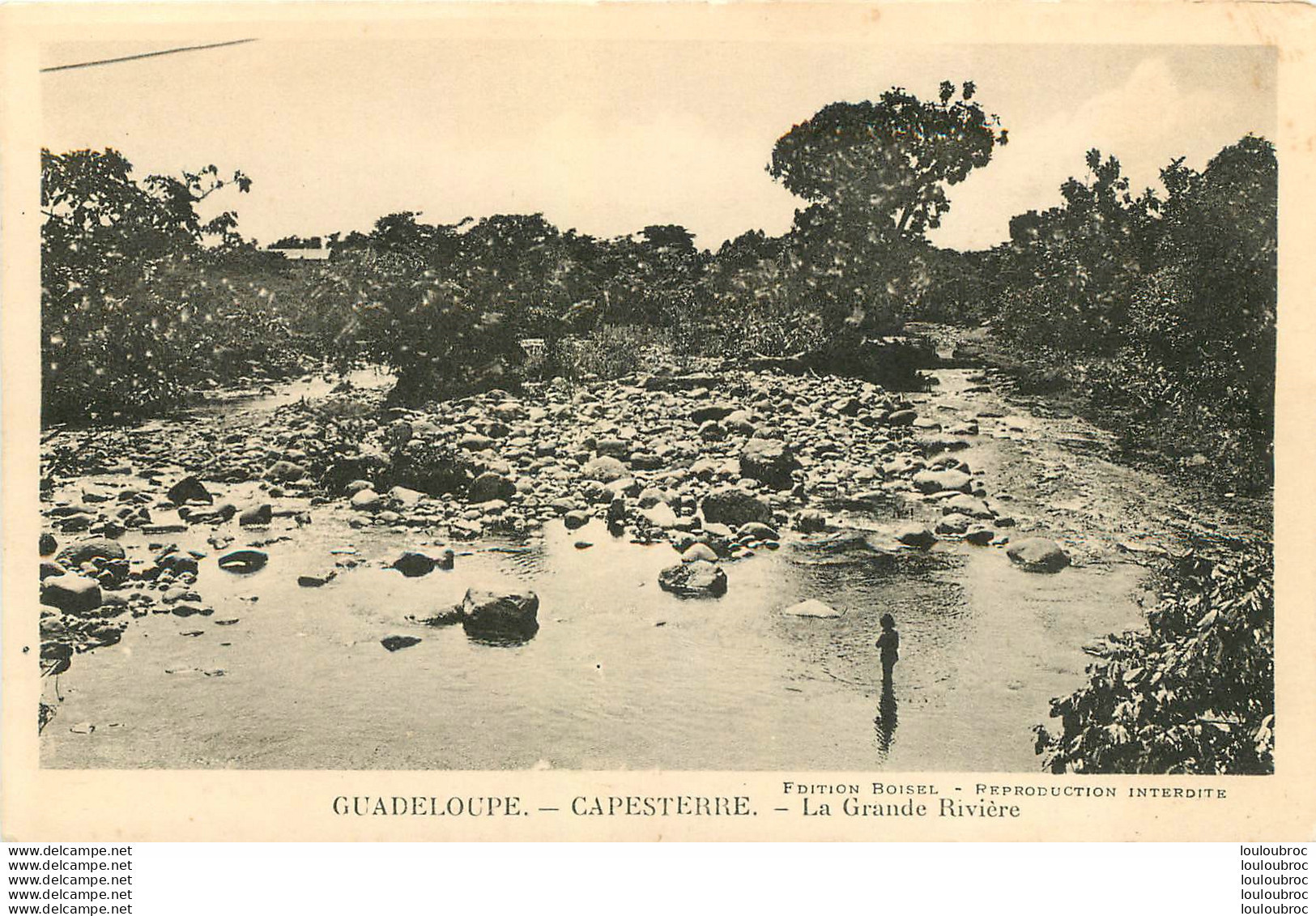 GUADELOUPE CAPESTERRE LA GRANDE RIVIERE - Autres & Non Classés