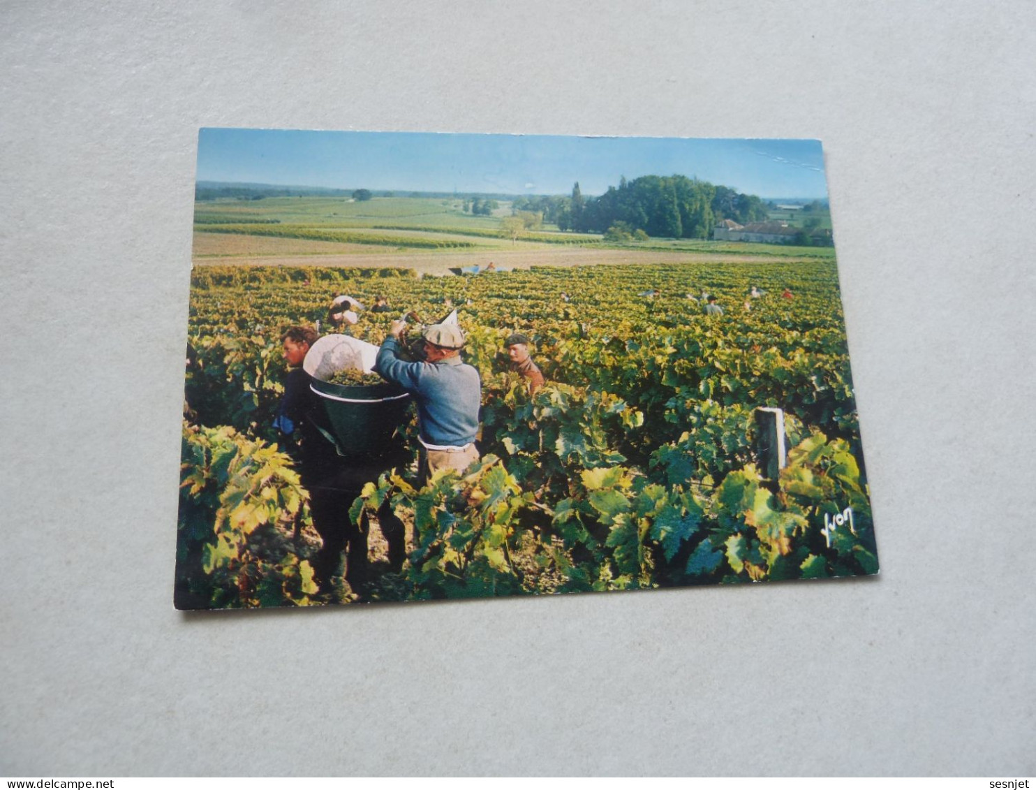 Cognac - Les Vendanges Aux Ets Hennessy - 10/6996 - Editions D'Art Yvon - - Cognac