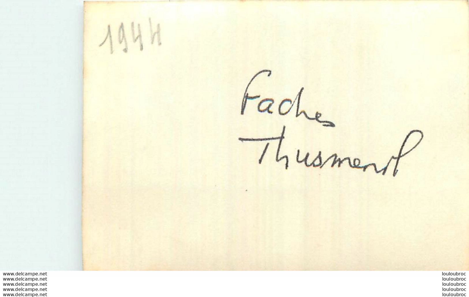 FACHES THUSMENIL NORD MOISSON 1944 PHOTO ORIGINALE 9 X 6 CM  REF N - Lieux