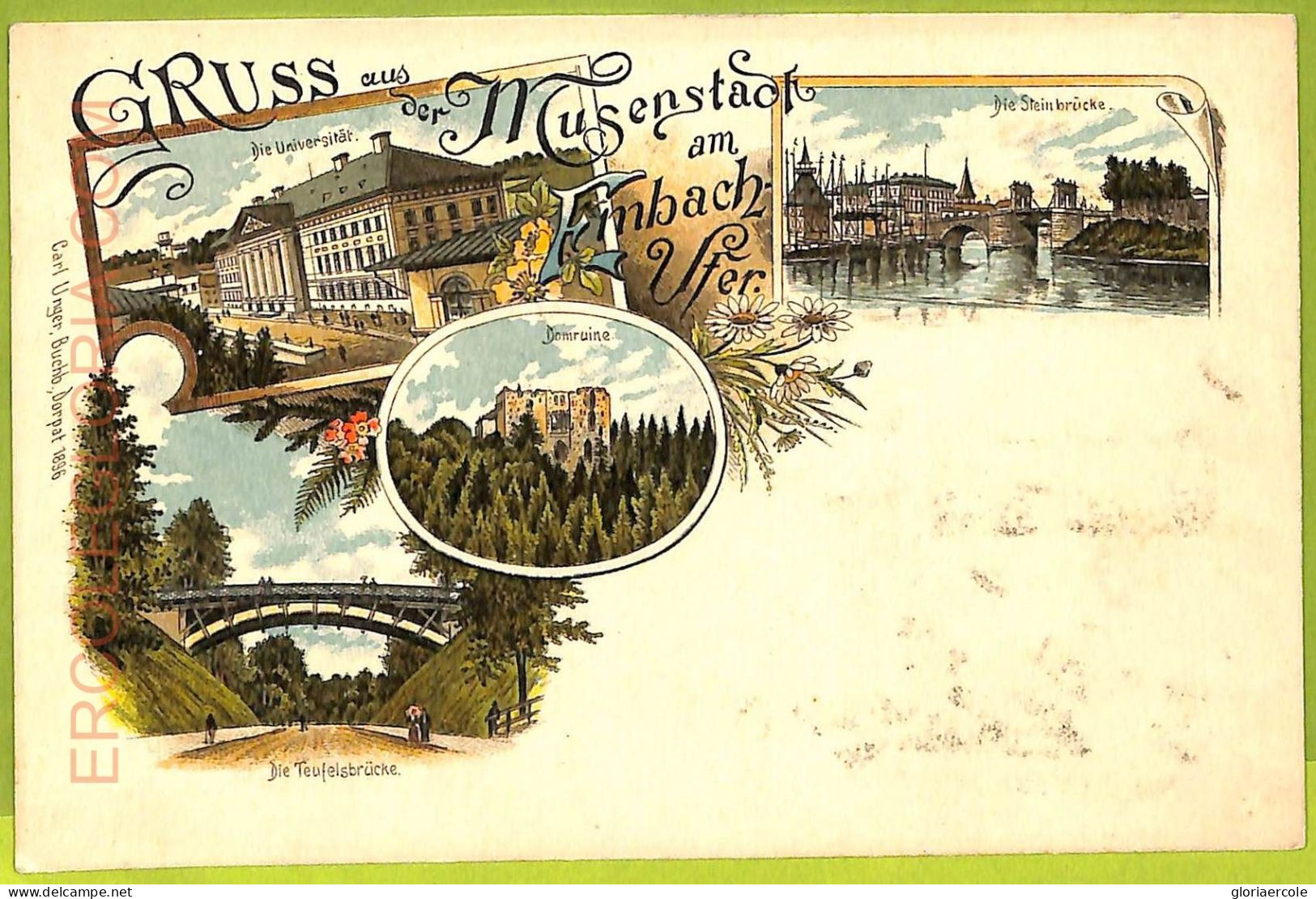 Ae9567 - ESTONIA - Ansichtskarten VINTAGE POSTCARD -Gruss Aus Musenstadt (Tartu) - Estland