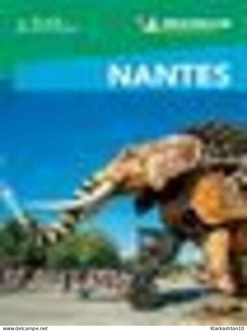 Nantes - Andere & Zonder Classificatie