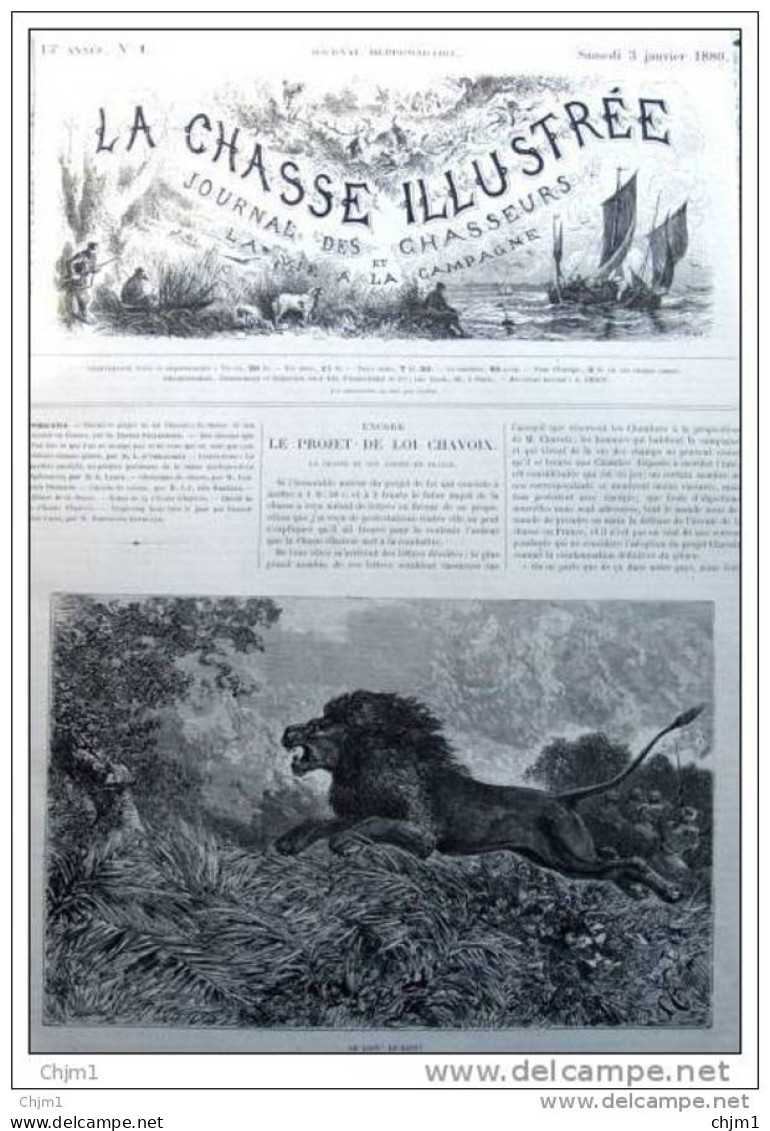 Löwe - Lion - Gravure S. Riou - Page Original 1880 - Stiche & Gravuren