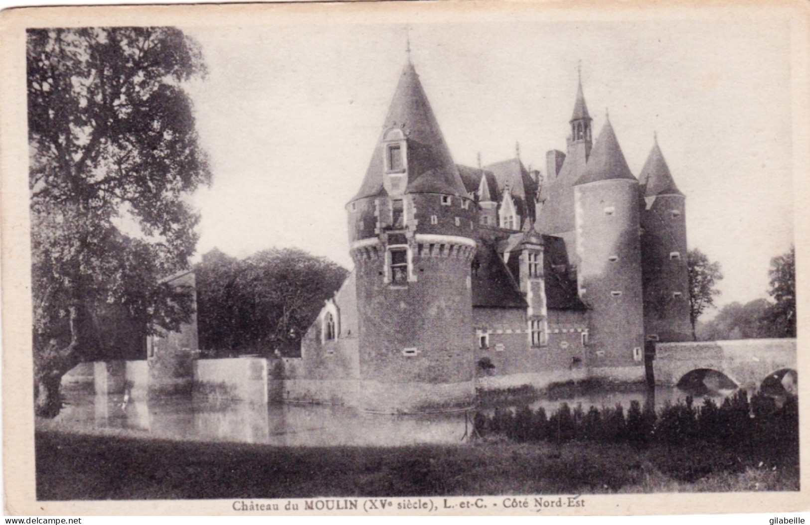 41 - Loir Et Cher -  Lassay-sur-Croisne - Chateau Du Moulin - Sonstige & Ohne Zuordnung
