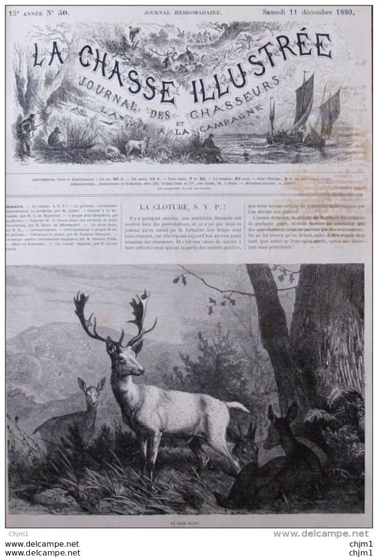 Le Daim Blanc - Der Weisse Hirsch -  Page Original 1880 - Documenti Storici