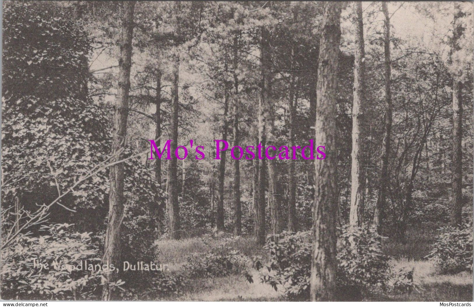 Scotland Postcard - The Woodlands, Dullatur   DZ265 - Lanarkshire / Glasgow