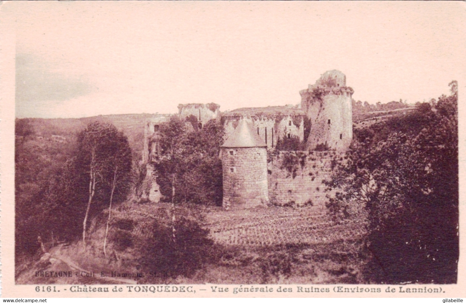22 - Cotes D'armor - Ruines Du Chateau De Tonquedec (Environs De Lannion) - Tonquédec