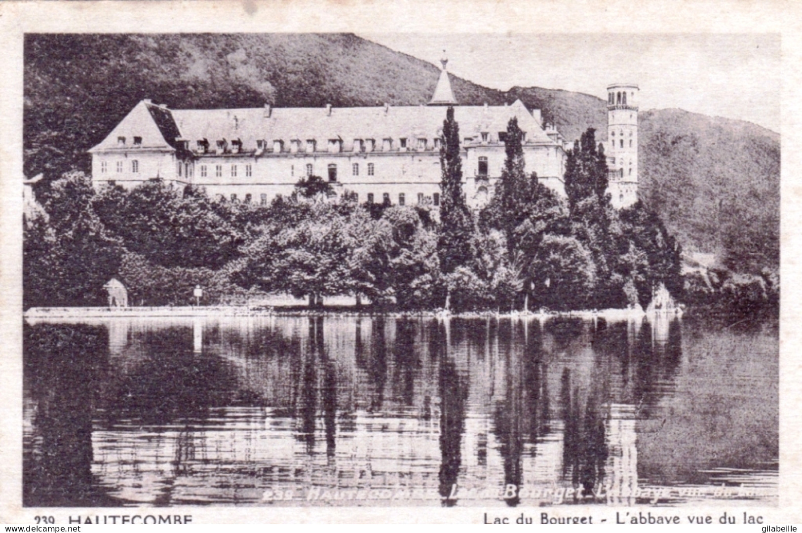 73 - Savoie - AIX Les BAINS - Vue Sur L Abbaye D Hautecombe Et Le Lac Du Bourget - Aix Les Bains
