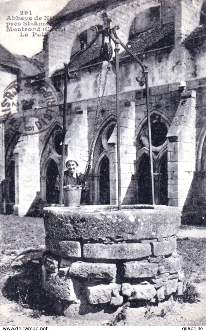 18  - Cher - Bruère-Allichamps -  Abbaye De NOIRLAC Pres Saint Amand Morond - Le Puits - Sonstige & Ohne Zuordnung