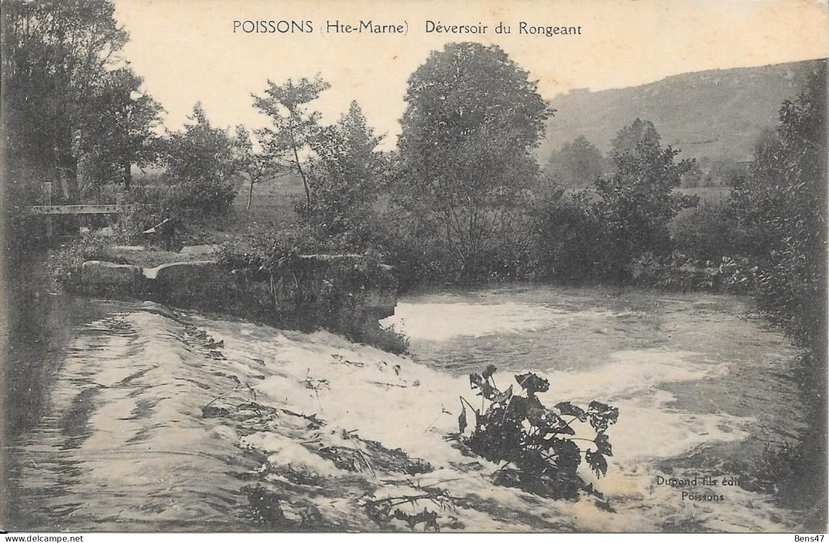 52 Poissons D'versoir Du Rongeant - Poissons