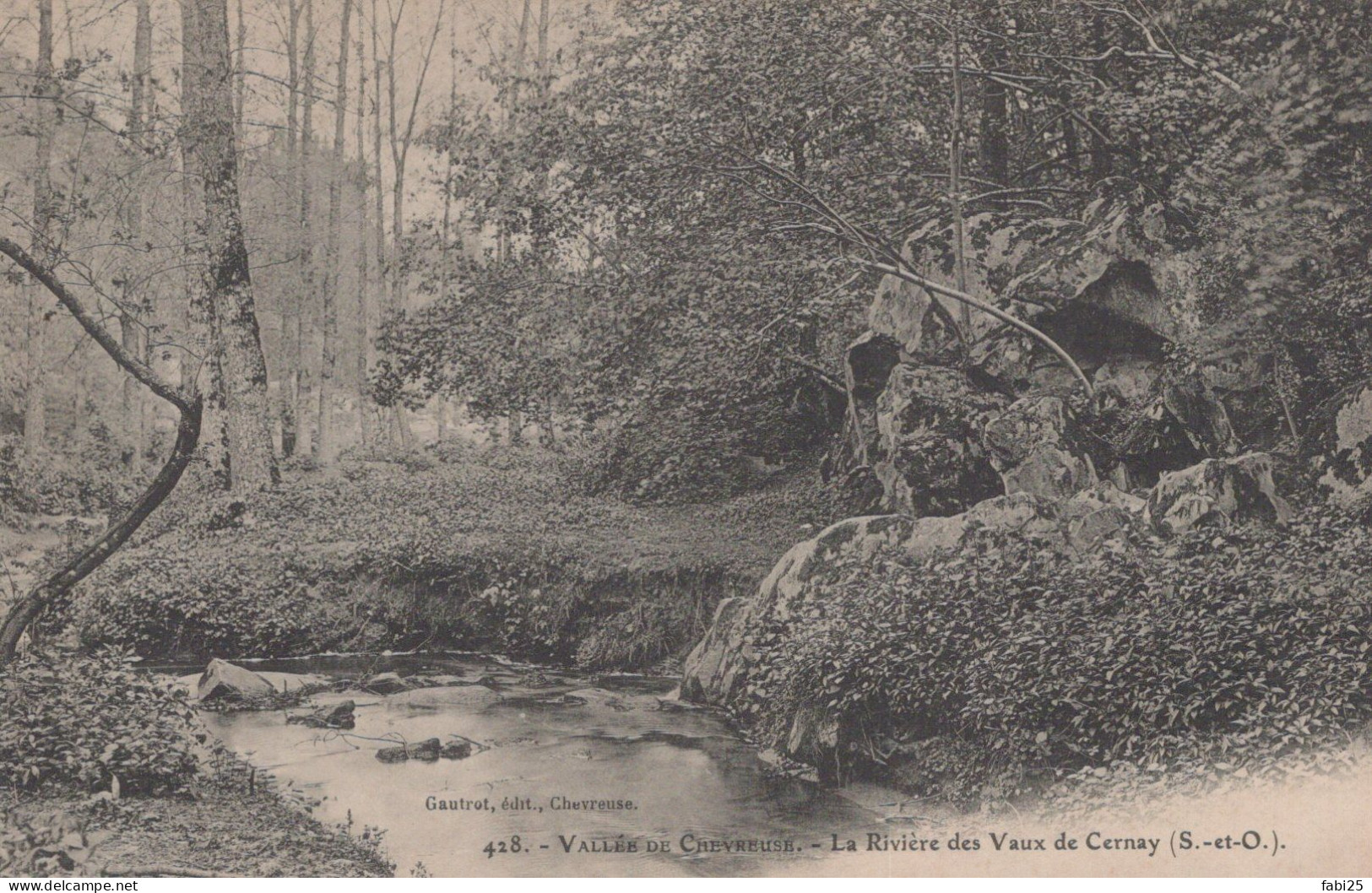 VALLEE DE CHEVREUSE LA RIVIERE DES VAUX DE CERNAY - Chevreuse