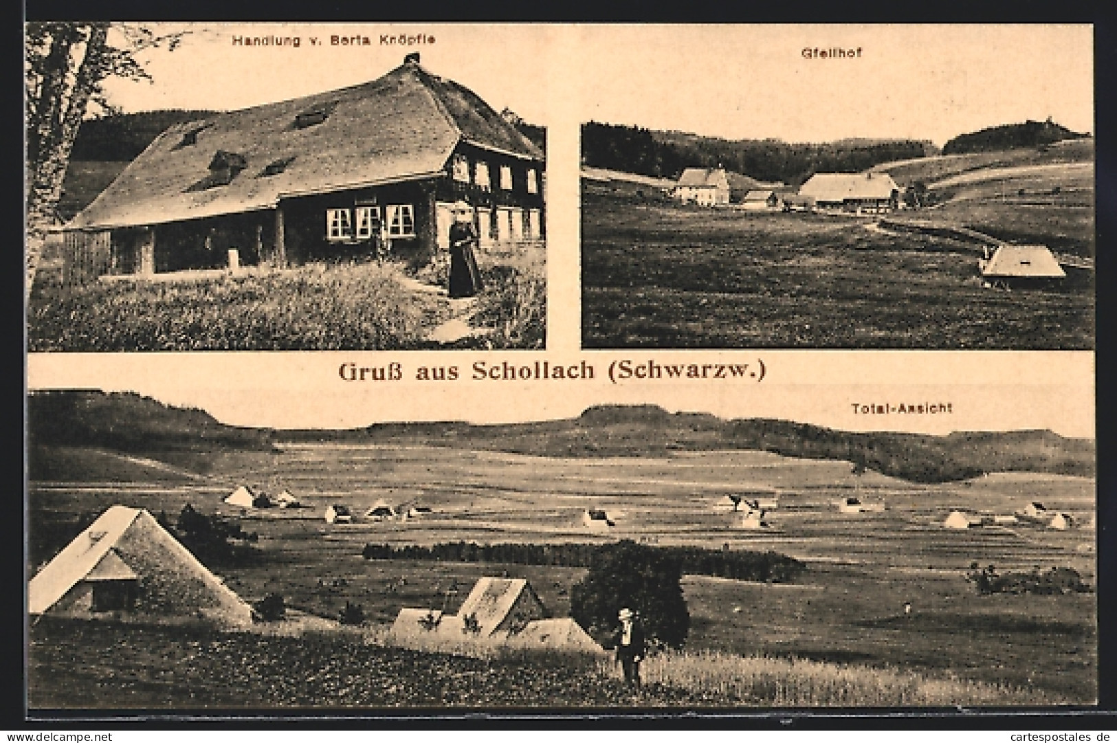 AK Schollach /Schwarzw., Gasthaus Gfellhof, Handlung Von Berta Knöpfle, Totalansicht  - Sonstige & Ohne Zuordnung