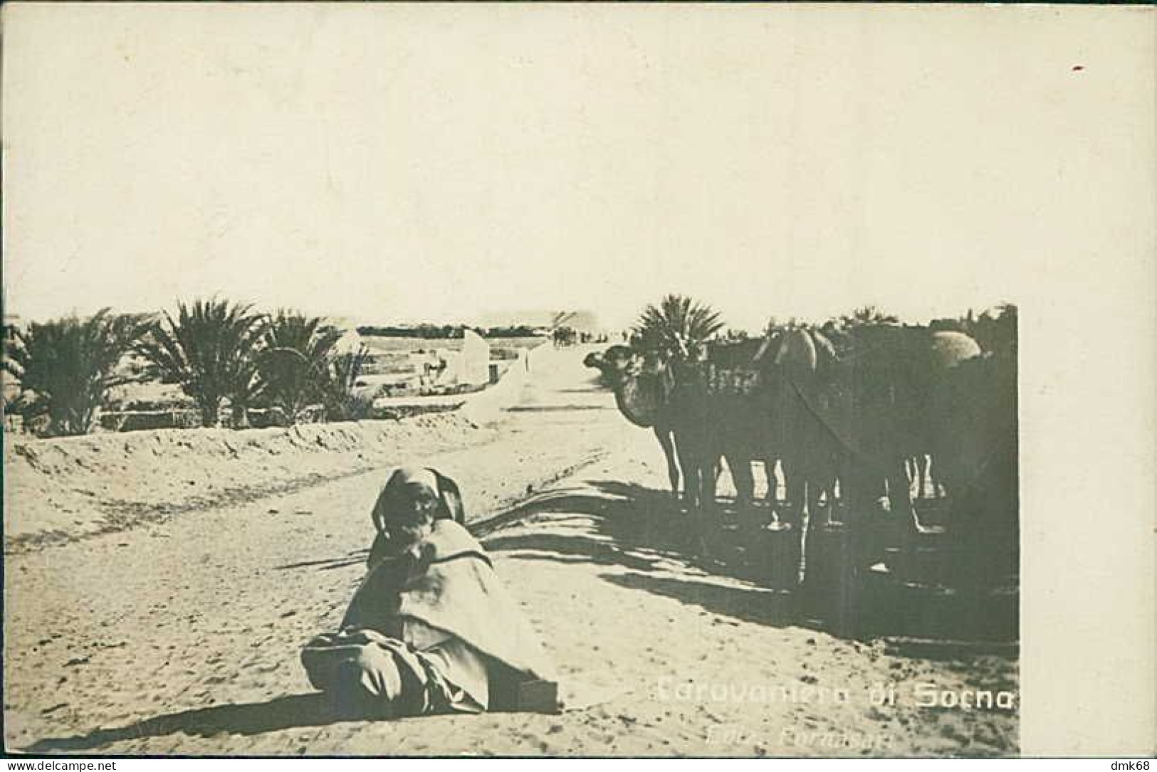 AFRICA - LIBYA / LIBIA - SOKNA / SOCNA - PANORAMA + CAROVANIERE / CAMELS CARRIER - RPPC POSTCARD 1910s (12587) - Libia