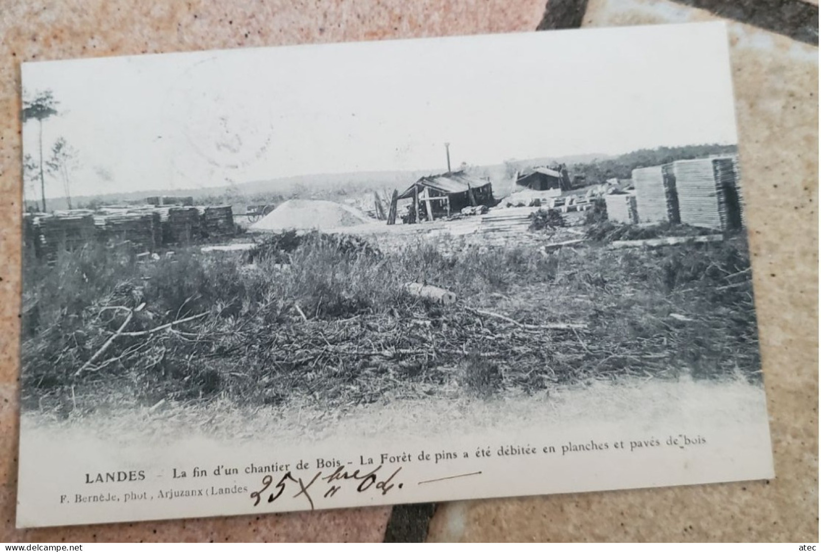 Landes La Fin D'un Chantier De Bois - Sonstige & Ohne Zuordnung