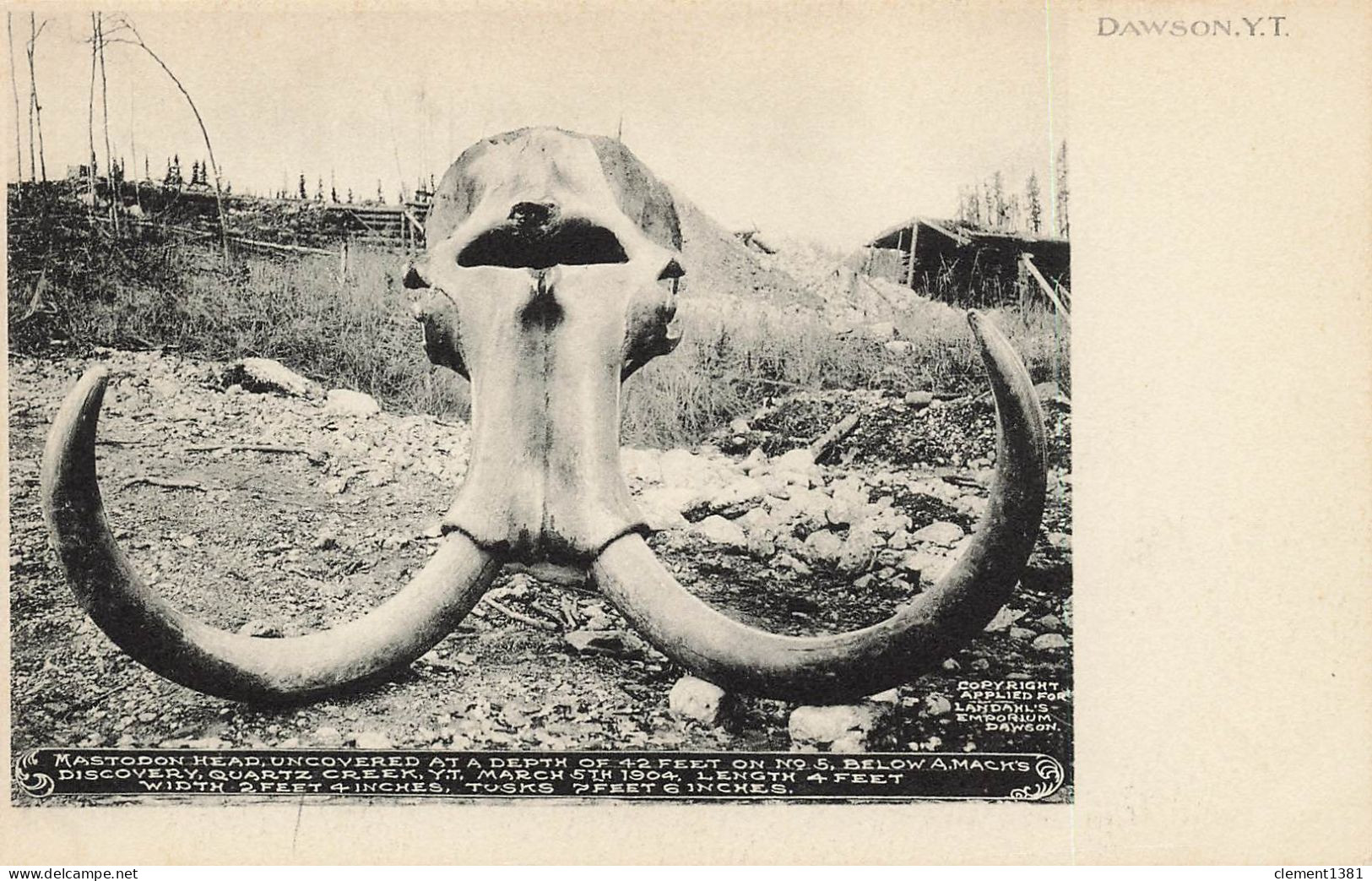 Canada Yukon Dawson Mastodon Head - Yukon