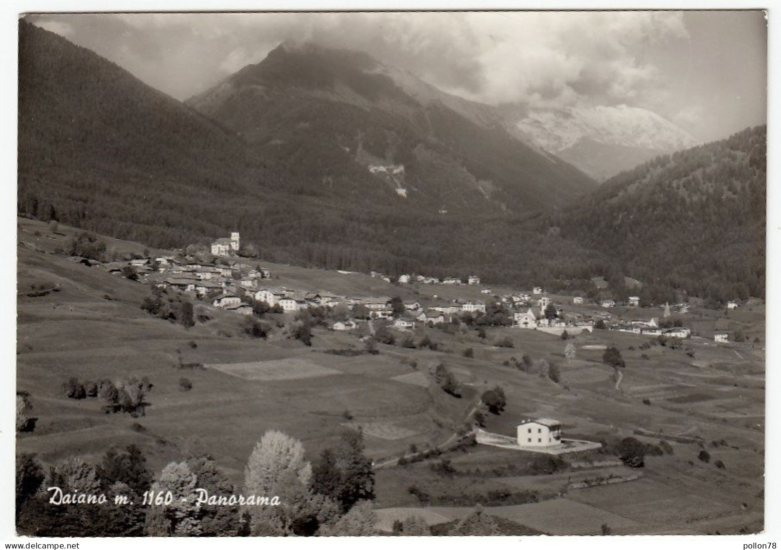 DAIANO - PANORAMA - TRENTO - 1966 - Trento