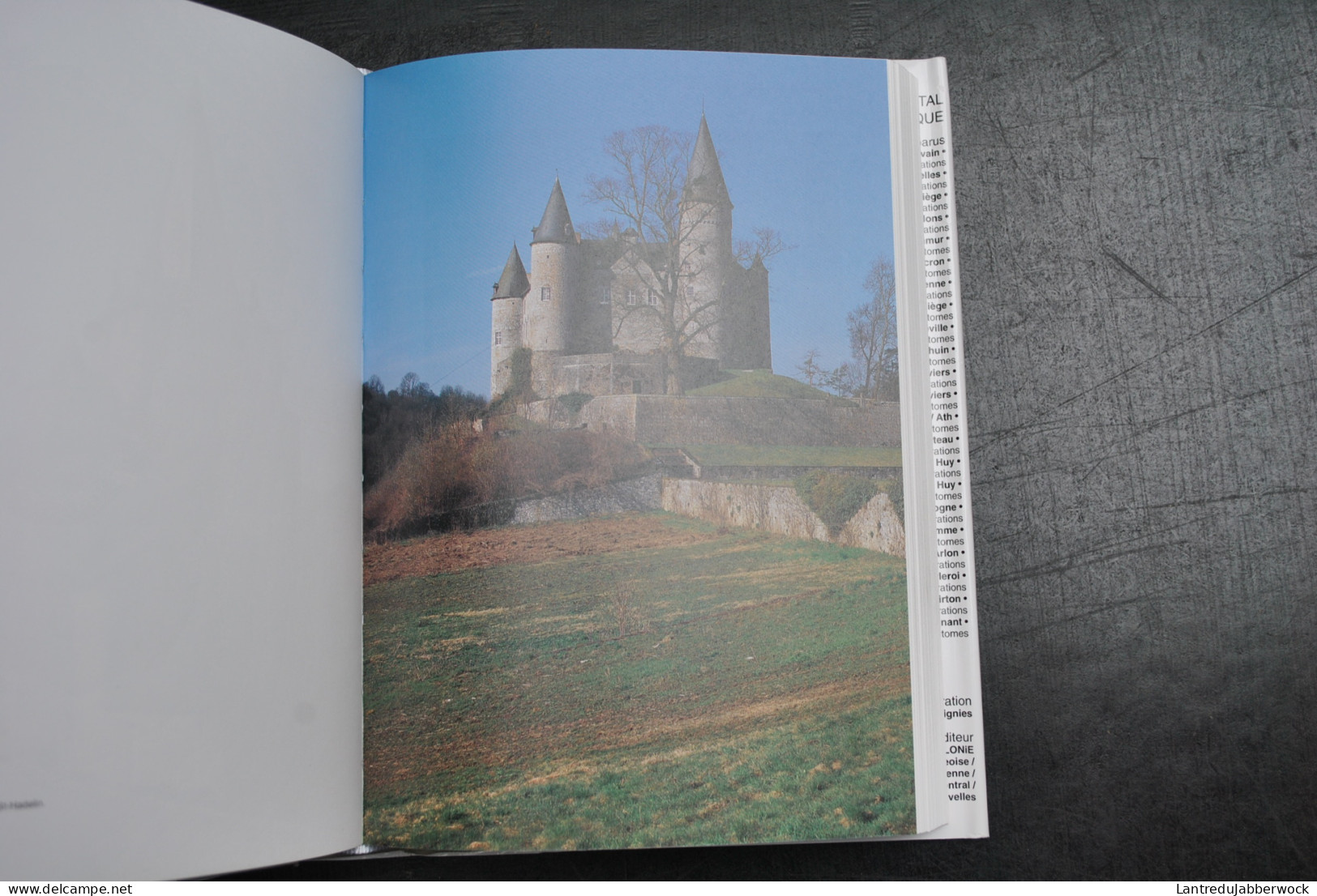 Le Patrimoine Monumental De La Belgique Namur 22-2 Dinant Hamois Hastière Havelange Houyet Onhaye Rochefort Gedinne.. - Belgique