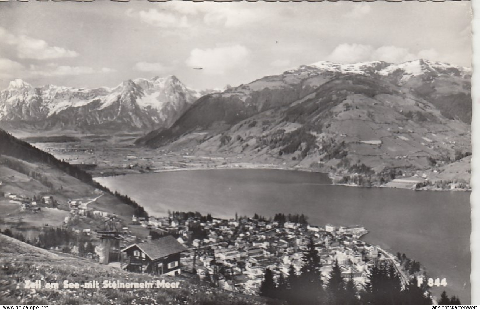 Zell Am See Mit Steinernem Meer Ngl #G4880 - Autres & Non Classés