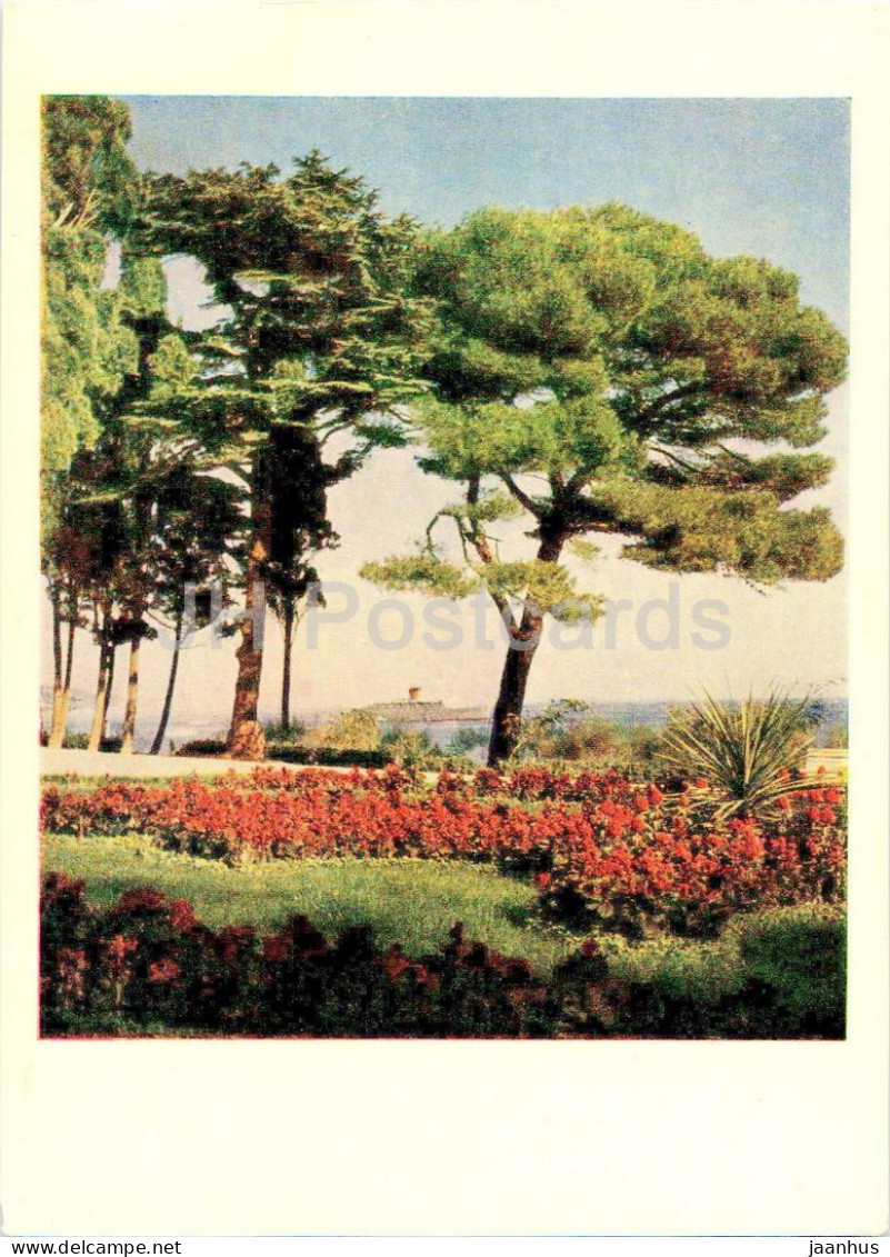 Yalta - In The Seashore Park - Crimea - 1960 - Ukraine USSR - Unused - Ukraine