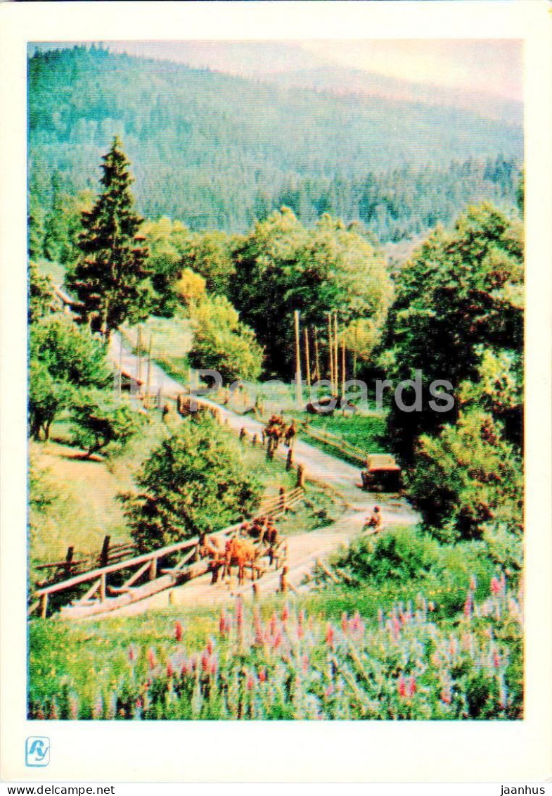 Carpathian Mountains - Karpaty - In The Valley - 1962 - Ukraine USSR - Unused - Ukraine