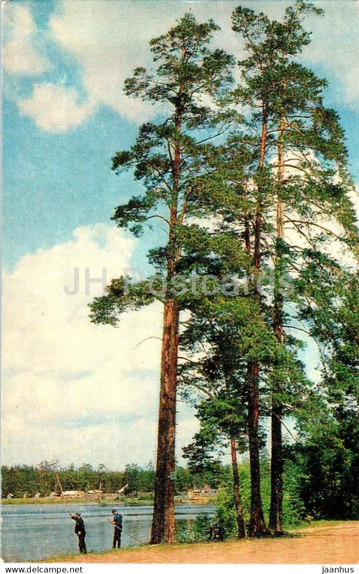 Shatura - On The Shore Of Lake Belaya - Turist - 1975 - Russia USSR - Unused - Rusland