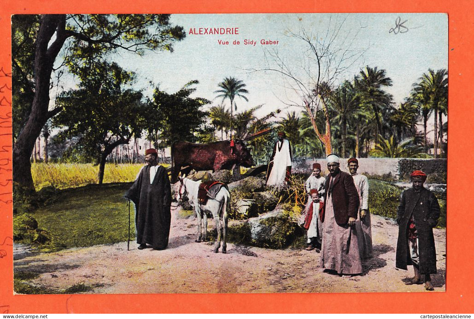 24499 / ⭐ (•◡•) ALEXANDRIE Egypte ◉ Vue DE Sidy GABER 1905s ◉ The CAIRO Postcard Trust Ala-3 54713 - Alexandrië