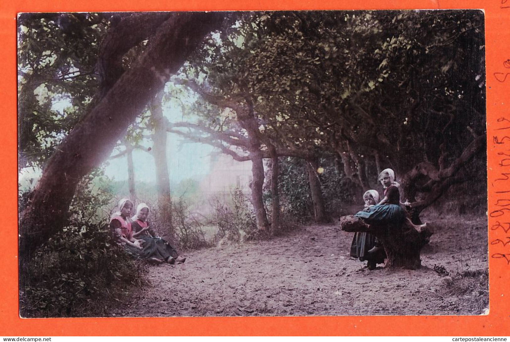 24481 /⭐ ◉  Nederland Prachtige Opname Kinderen In Het Kreupelhout / Magnifique Cliché Enfants Dans Un Sous-bois 1900s - Other & Unclassified