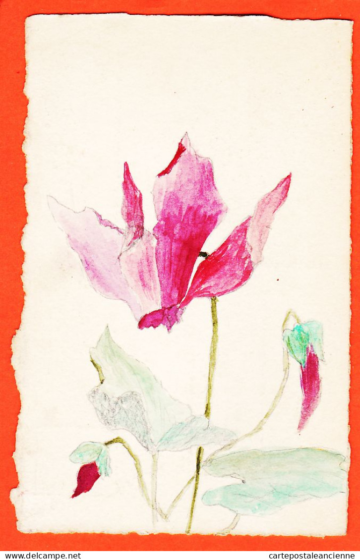 24370 /⭐ ◉  ♥️ Carte Unique Véritable Aquarelle Fleur Cyclamen 1905s - 1900-1949