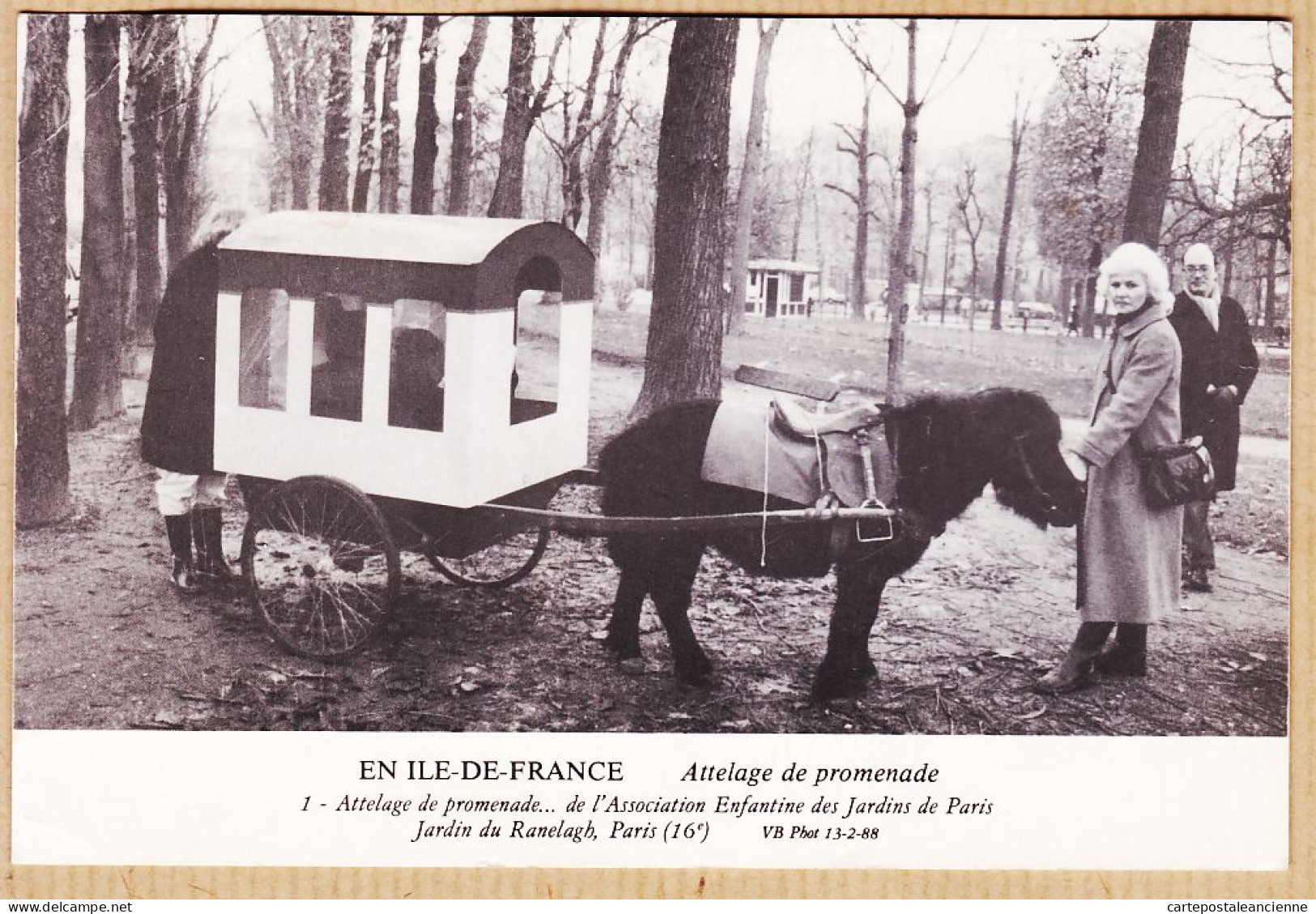 24254 /⭐ ◉  PARIS XVIe Jardin RANELAGH Attelage Poney Promenade Association EnfantinePhoto Bernard VIAUD 13-02-1988 - Arrondissement: 16