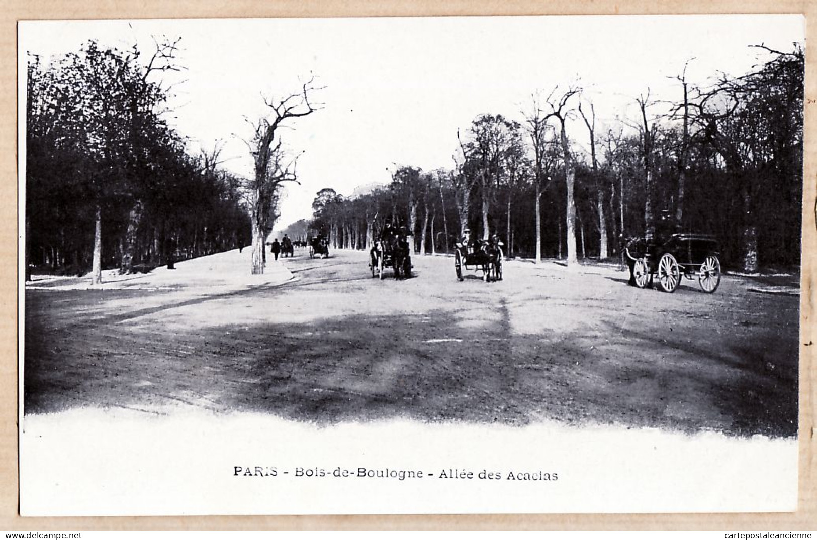 24255 /⭐ ◉  BOIS De BOULOGNE PARIS XVIe L'Allée Des ACCACIAS Cliché 1900sEtat: PARFAIT - Arrondissement: 16