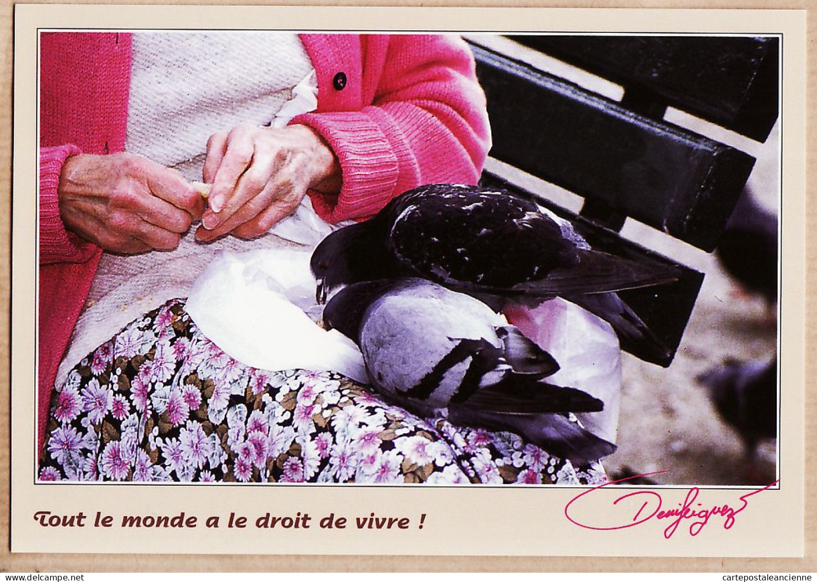 24169 /⭐ ◉  PARIS VII CHAMPS De MARS Pigeons Domestiques Tout Le Monde Droit Vivre Photo Denis SEIGNEZ 1999- CPC CP-065 - Arrondissement: 07