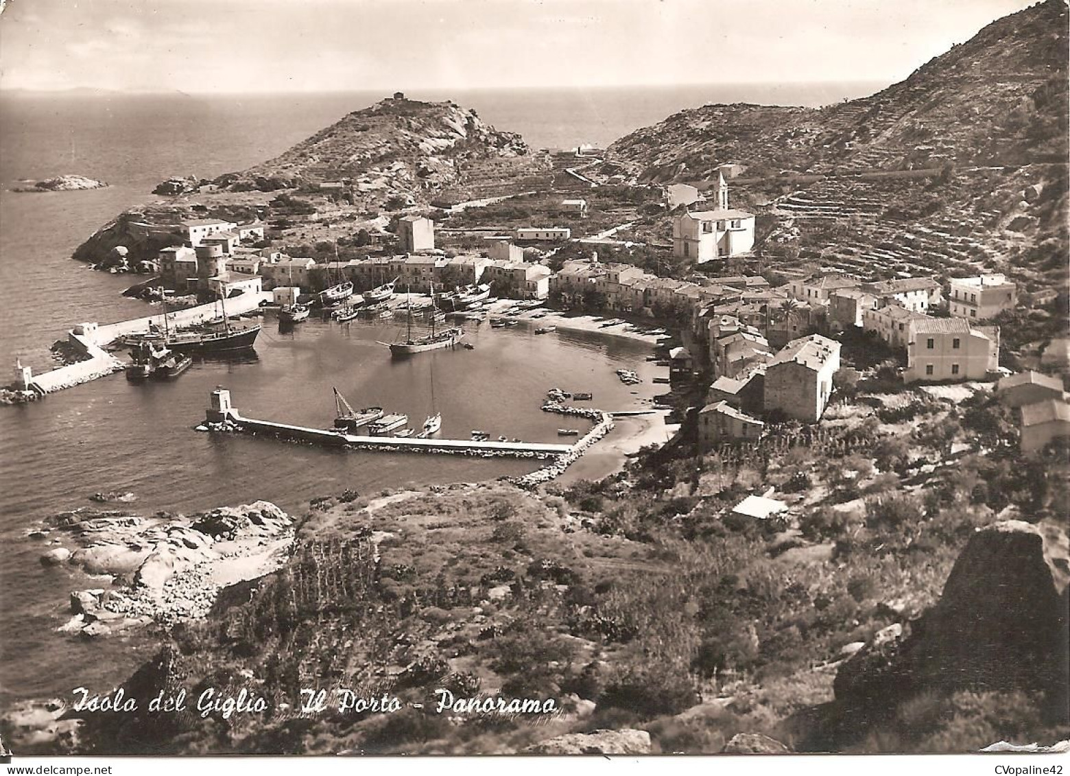 ISOLA DEL GIGLIO (Toscana) Il Porto - Panorama En 1957 - Grosseto