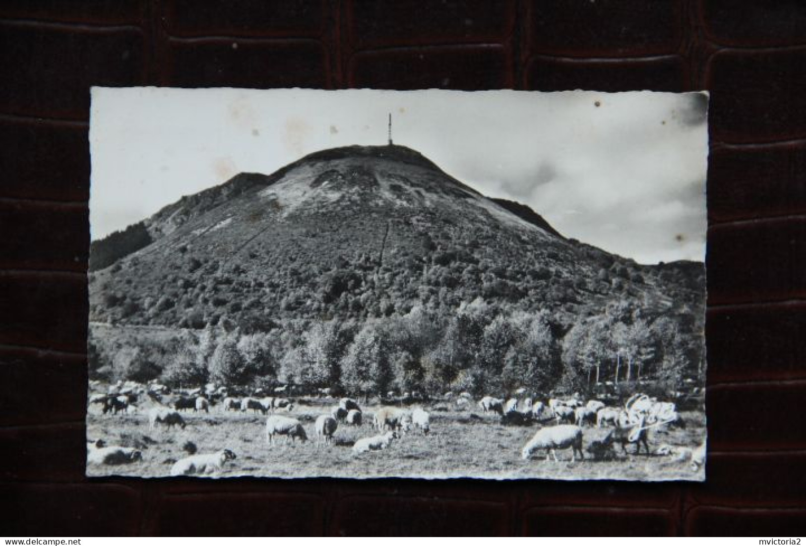 63 - Pâturages Au Pied Du PUY DE DOME - Sonstige & Ohne Zuordnung