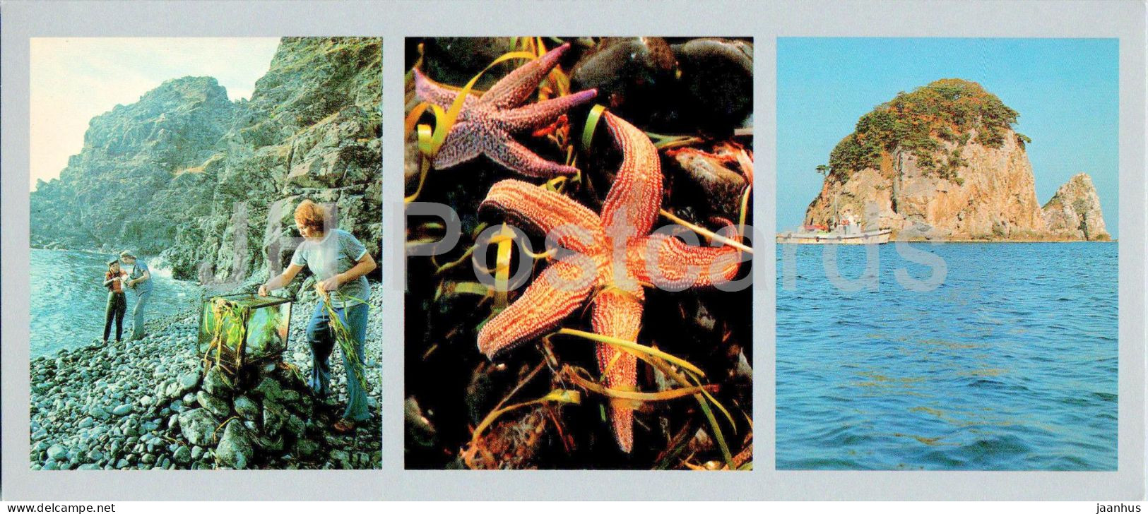 Bay Of The Peter The Great - Laboratory - Scientist Research - Starfish - 1980 - Russia USSR - Unused - Russie