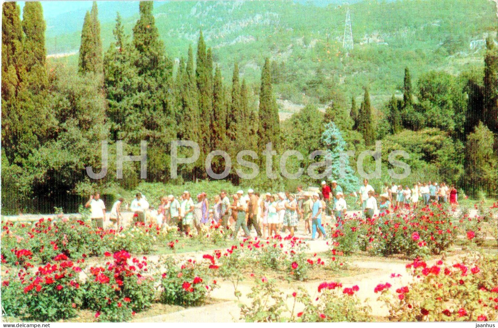 Nikitsky Botanical Garden - Roses In The Upper Park - Crimea - 1974 - Ukraine USSR - Unused - Ukraine